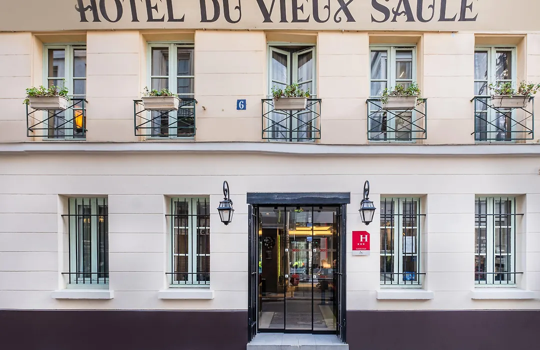 Hôtel Du Vieux Saule-1